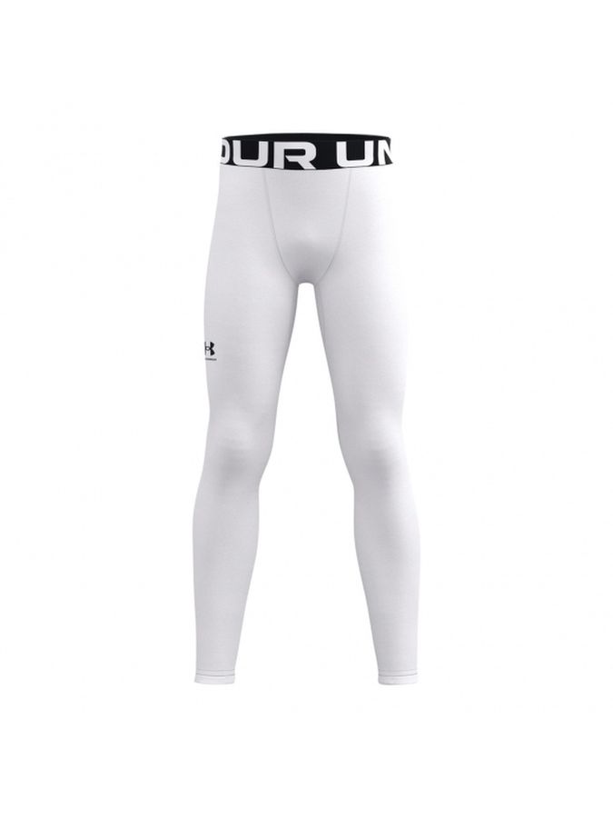 Тайтсы UA CG Armour Leggings 43813421