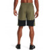 Спортивные шорты UA Raid 2.0 Shorts 62026276