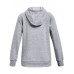 Толстовка UA Rival Logo Hoodie 62039243