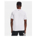 Men's UA Sportstyle Left Chest Short Sleeve Shirt 138680163