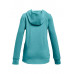 Толстовка Rival Fleece Logo Hoodie 19405793