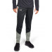Брюки ColdGear Reactor Run SP Pant 110413295