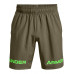 Шорты UA Woven Graphic WM Short 101898210