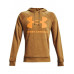 Толстовка UA Rival Fleece Big Logo HD 34158912 Толстовка UA Rival Fleece Big Logo HD 34158912