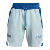Шорты UA Summit Knit Shorts 61145085
