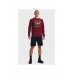 Толстовка мужская Under Armour CNY Rival FLC Crew 141182609